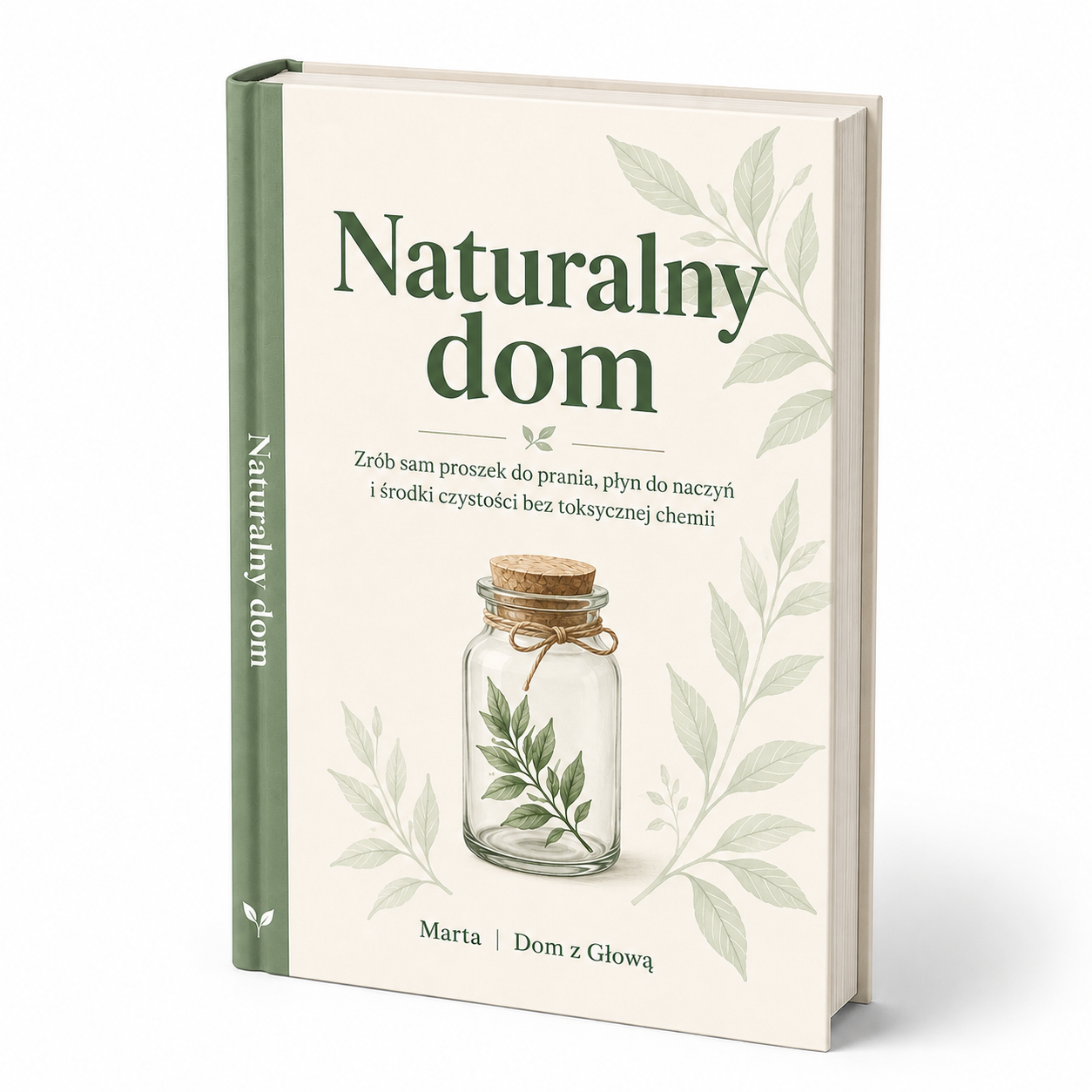 Naturalny dom